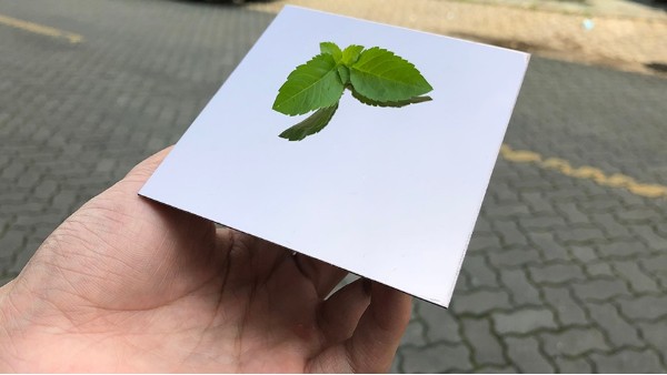 不銹鋼鏡面如有劃痕怎么處理？